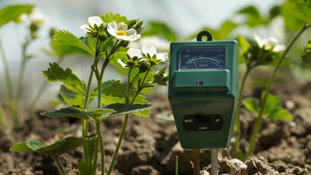 رطوبت سنج خاک